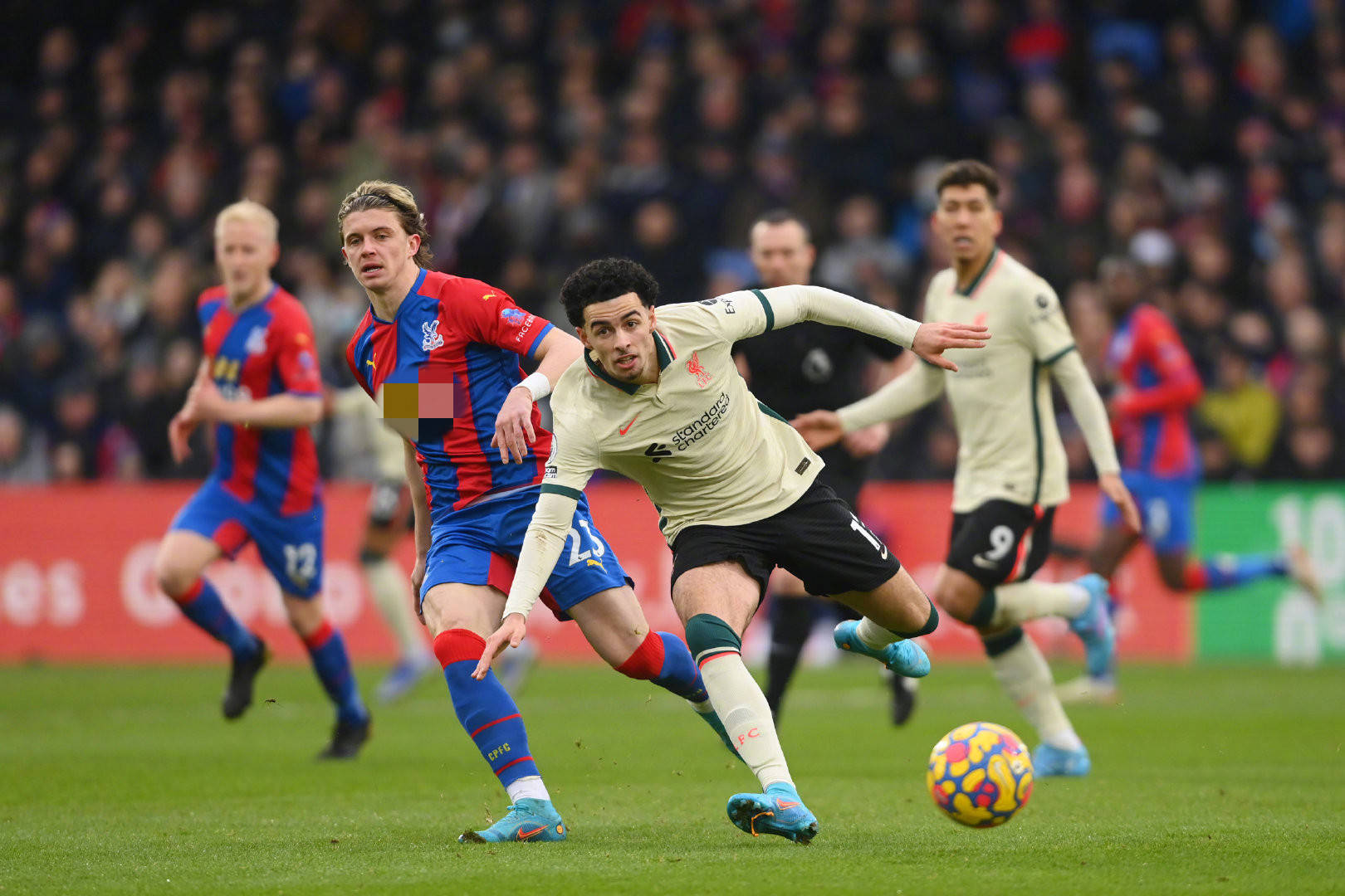 科曼不仅通 科曼不仅通