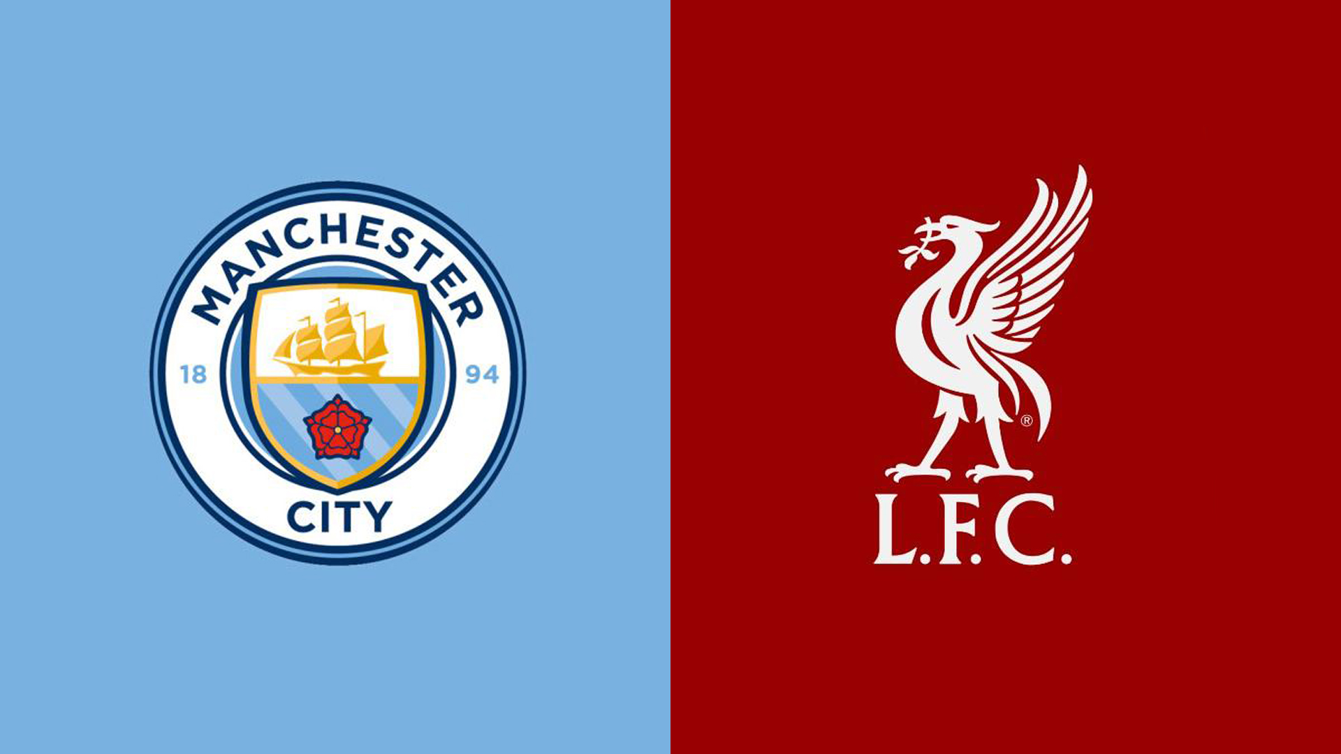 组织作用 组织作用